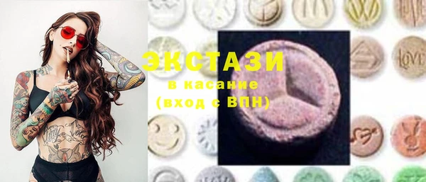 сатива Новозыбков