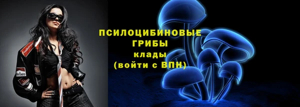 гашик Армянск