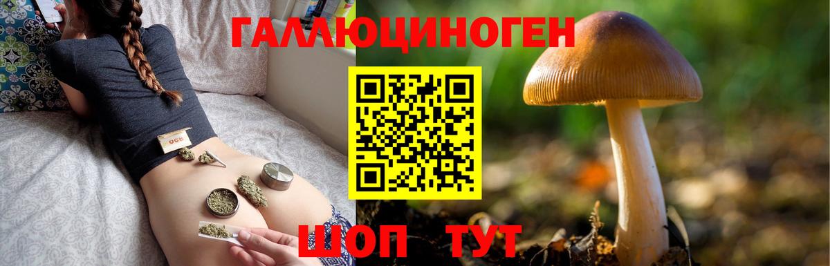 Нарткала  Галлюциногенные грибы GOLDEN TEACHER  Галлюциногенные грибы GOLDEN TEACHER  Вход с VPN 
